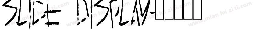Slice Display字体转换